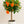 Load image into Gallery viewer, Hibiscus Double Peach Tree Reg
