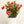 Load image into Gallery viewer, Dipladenia Pink Bush
