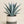 Load image into Gallery viewer, Agave Blue
