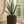 Load image into Gallery viewer, Agave Blue
