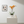 Load image into Gallery viewer, Orchid Phalaenopsis Orange

