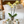 Load image into Gallery viewer, Orchid Phalaenopsis Yellow
