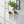 Load image into Gallery viewer, Pothos Marble Queen
