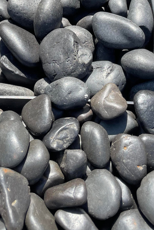 Polished Black Beach Pebbles- XL