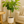 Load image into Gallery viewer, Ficus Altissima Variegated Standard
