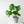 Load image into Gallery viewer, Philodendron Monstera Deliciosa
