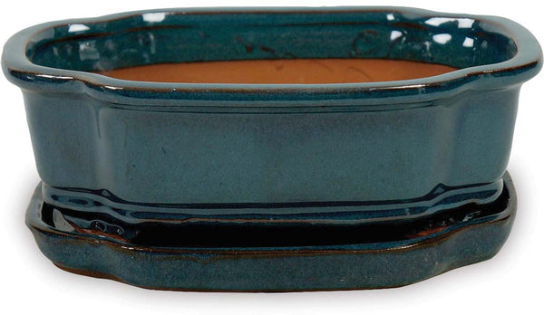 Bonsai Pots Case Pack (With Saucers)
