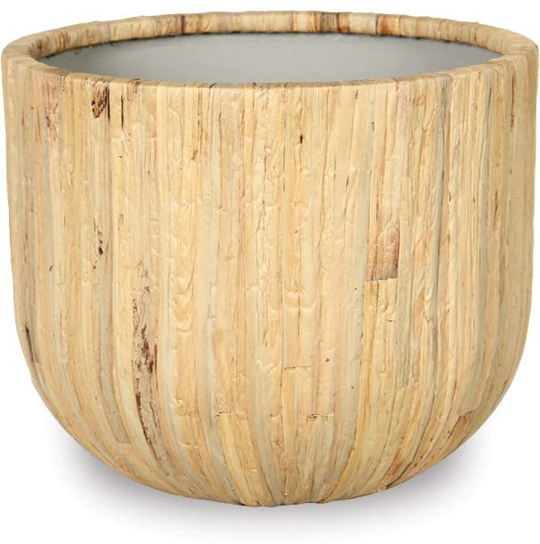 water hyacinth plant pot Water Hyacinth Wide Pot – ShopTropicals