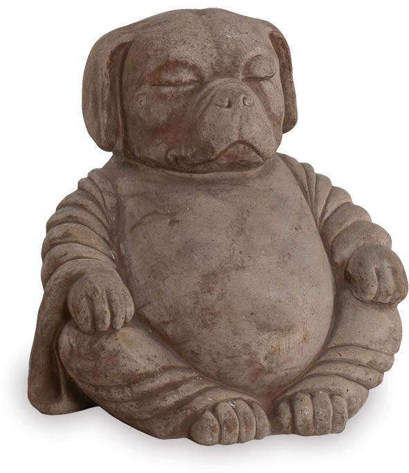 Meditating Dog