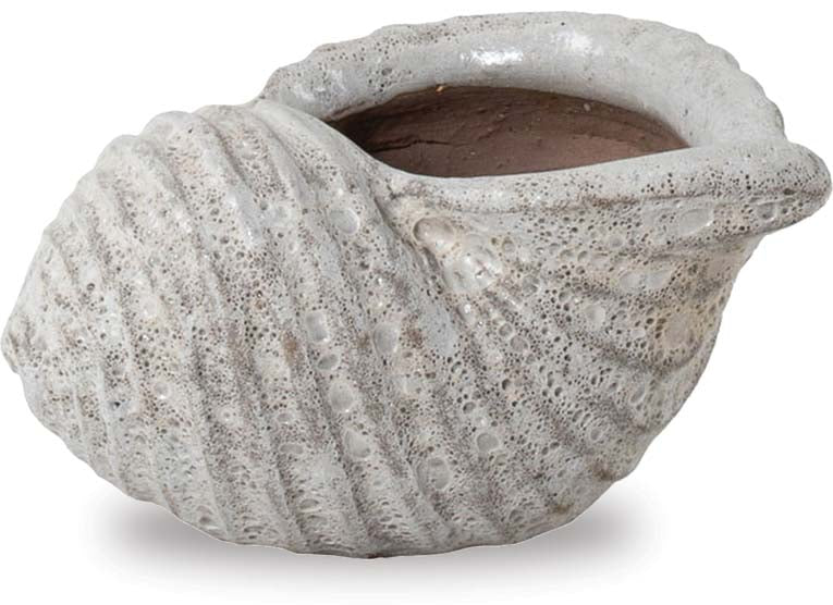 Scotch Bonnet Shell Planter – ShopTropicals