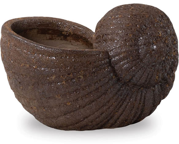 shell pot plant Snail Shell Pot – ShopTropicals