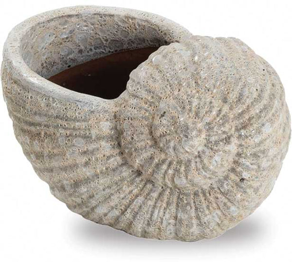 Snail Shell Pot